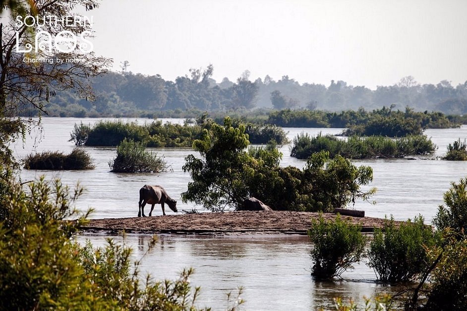 Laos Timeless Heritage Journey: From Sacred Luang Prabang to the Mystical 4,000 Islands